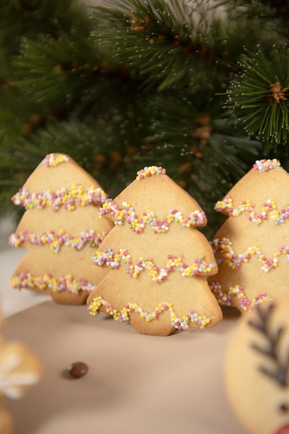Sapins de Noël en biscuit décorés de perles multicolores devant des branches de sapin